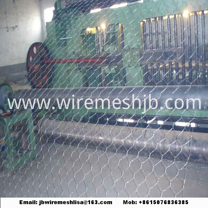 Galvanized Hexagonal Wire Netting